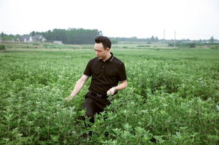 聚焦眼部健康 傳統(tǒng)艾灸與現(xiàn)代科技的創(chuàng)新融合